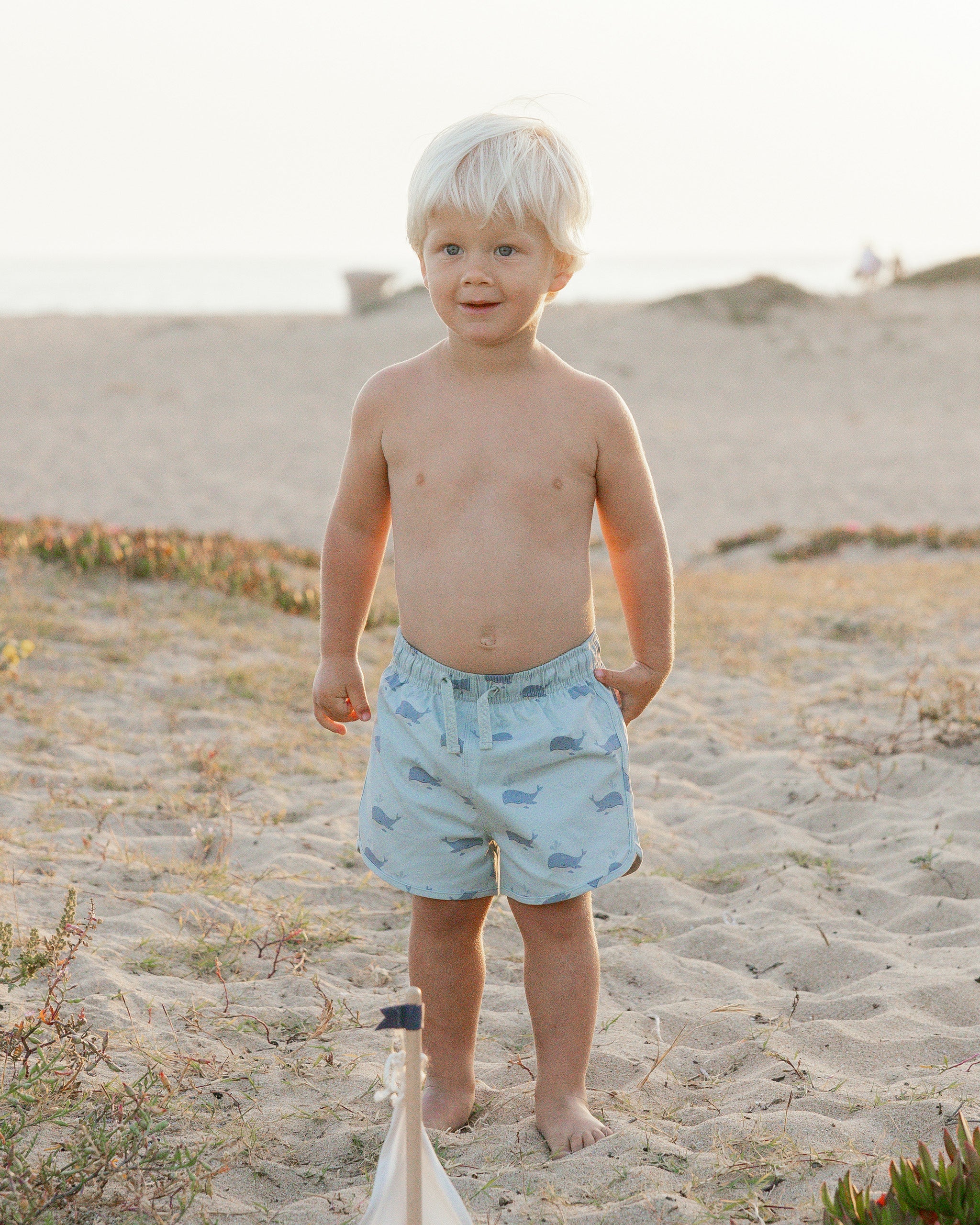 Swim Trunk || Whales - Rylee + Cru | Kids Clothes | Trendy Baby Clothes | Modern Infant Outfits |