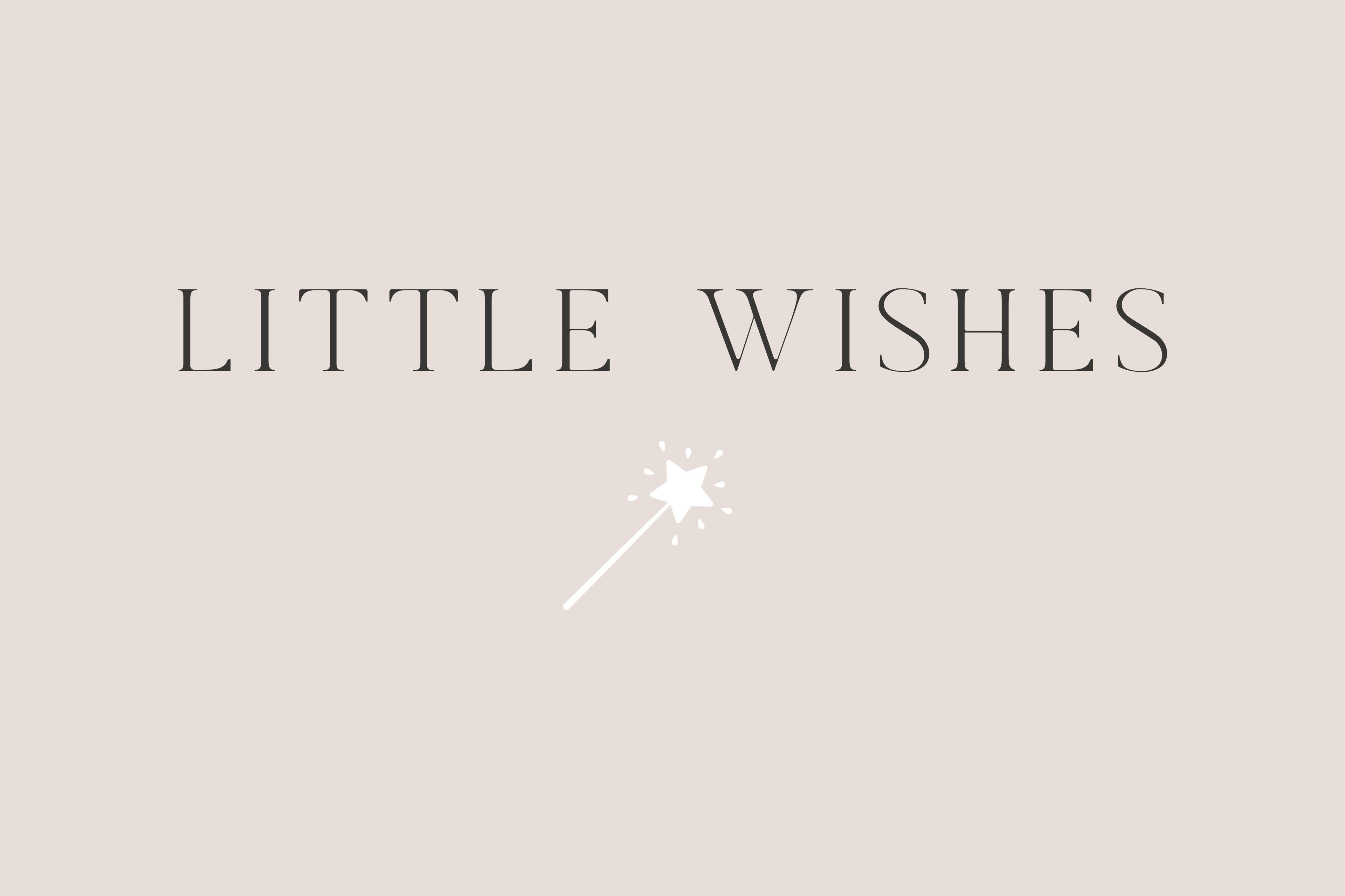 Grant Recipient: Little Wishes