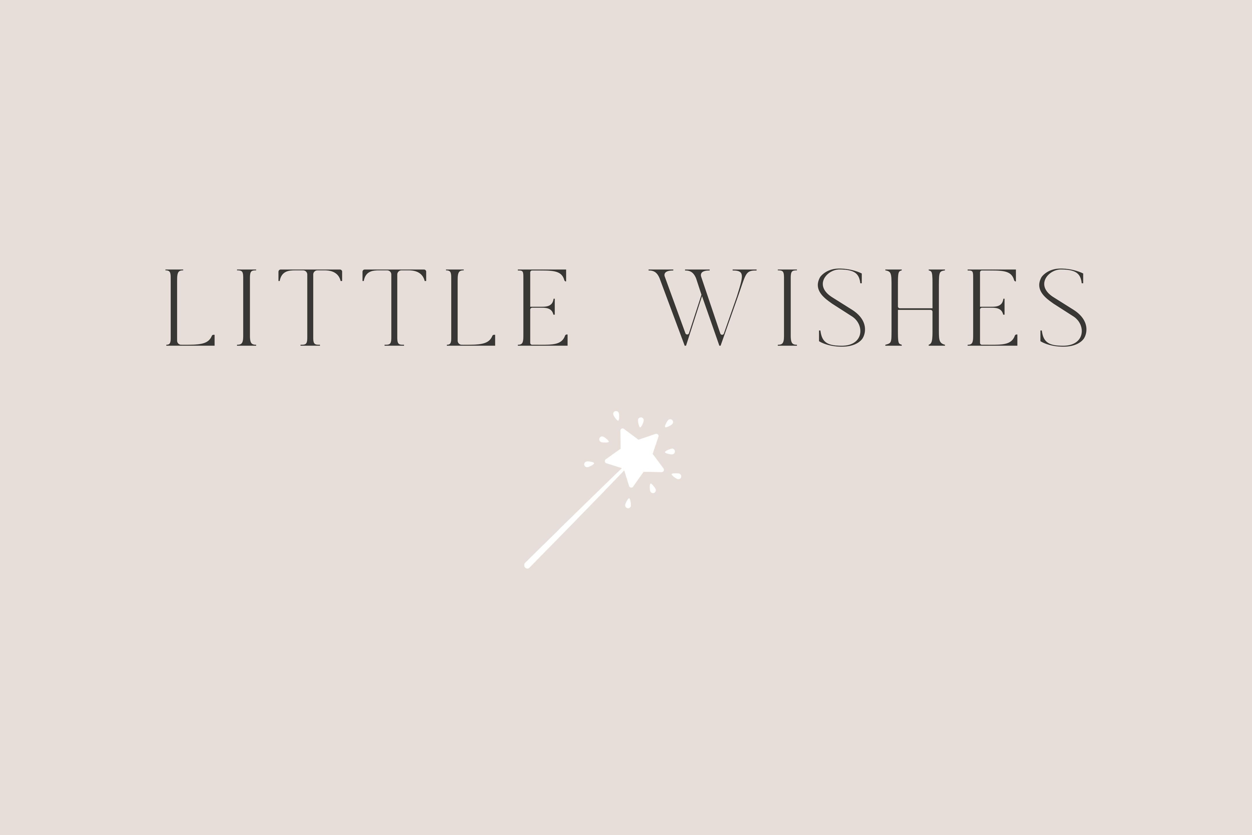 Grant Recipient: Little Wishes