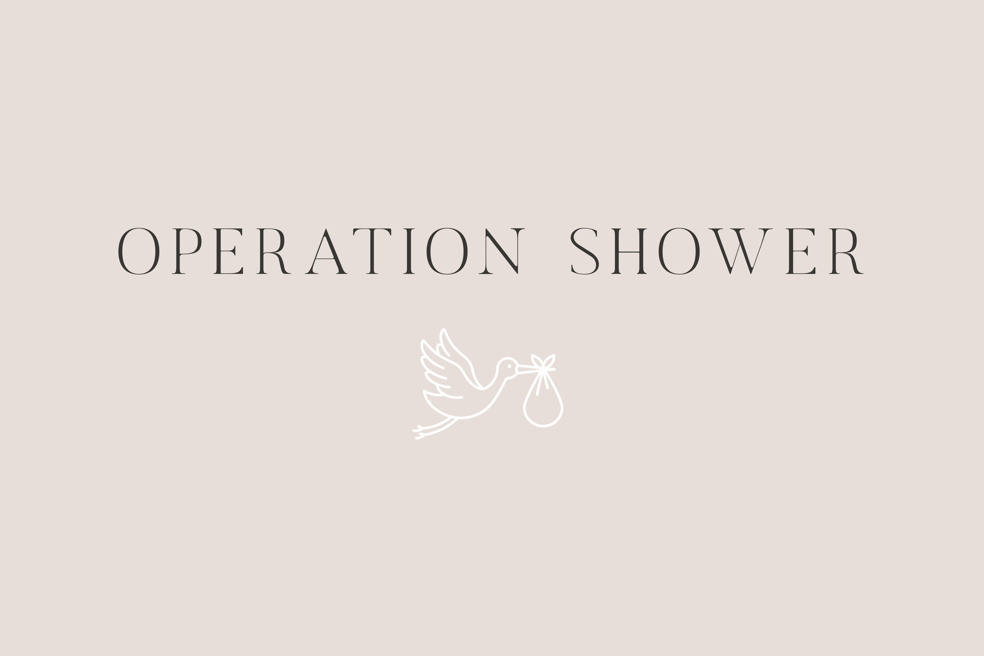 Grant Recipient: Operation Shower