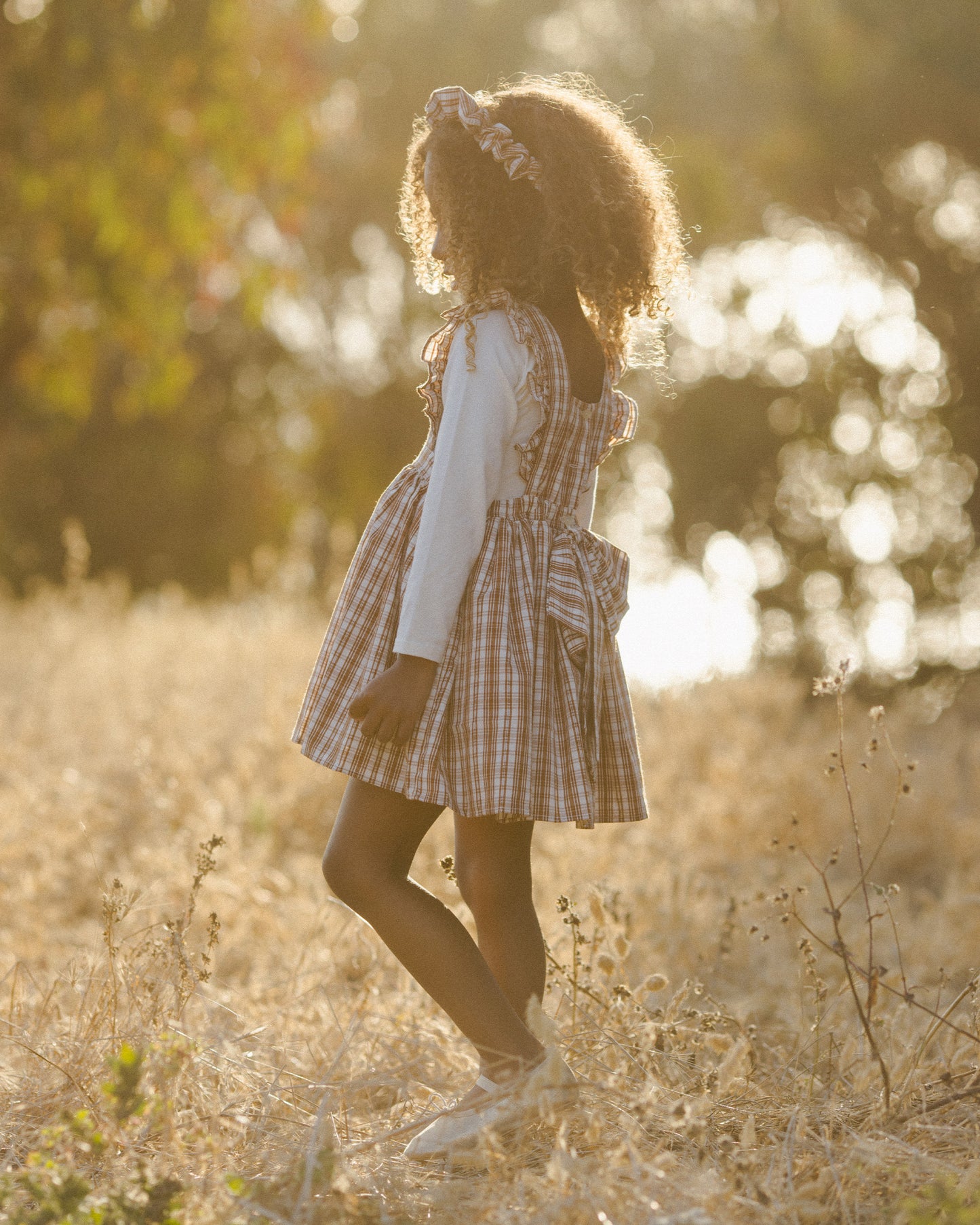 Agatha Dress || Copper Plaid