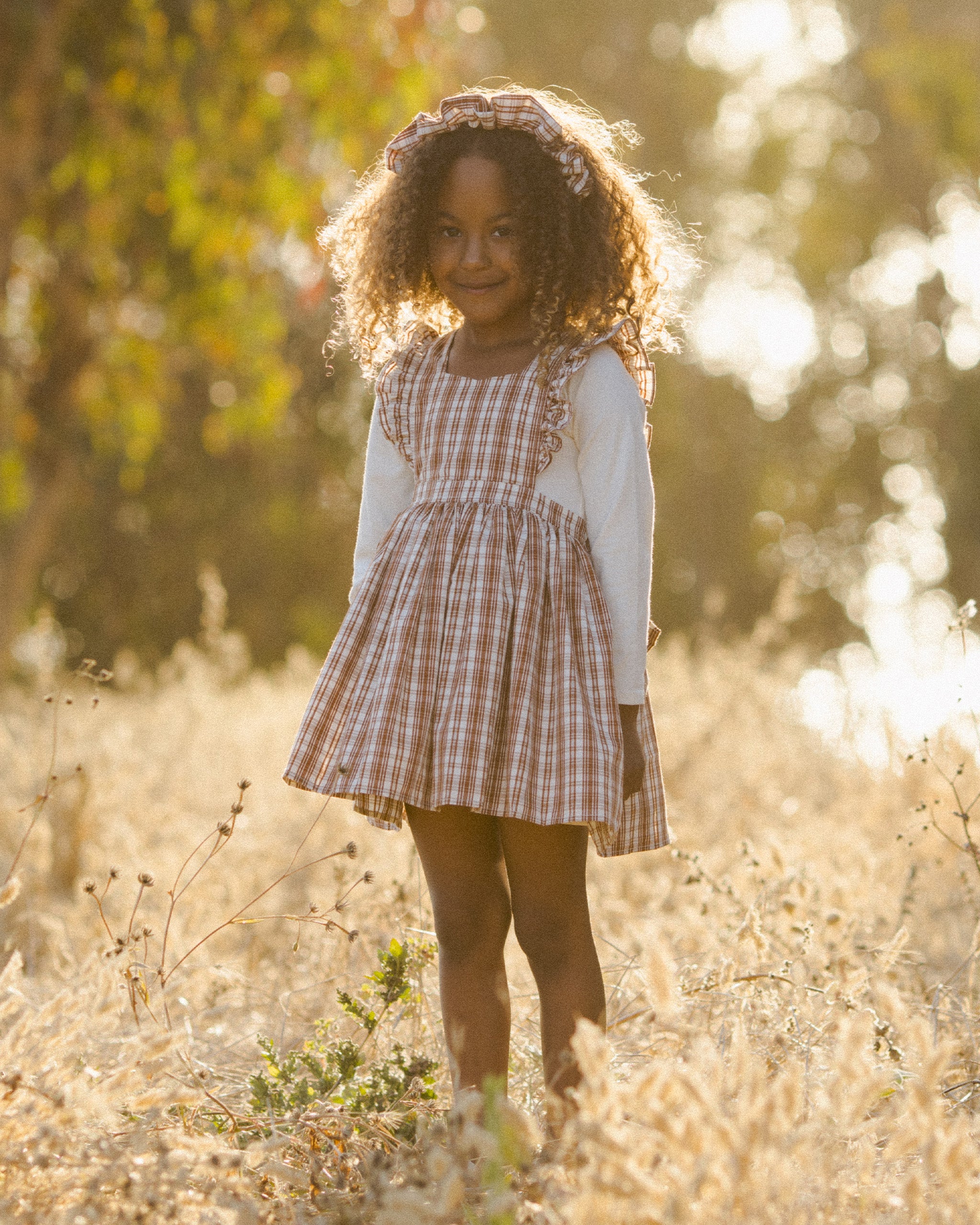 Agatha Dress || Copper Plaid