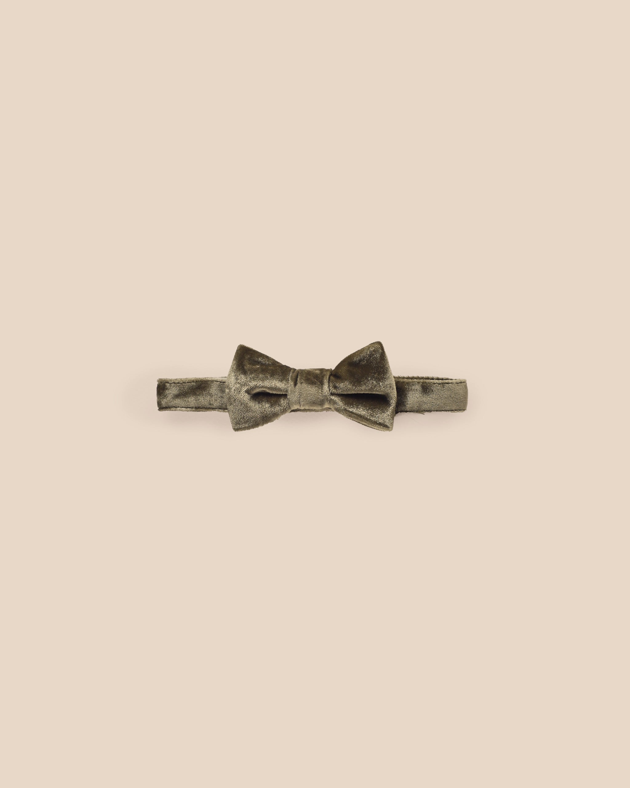 Bow Tie || Olive