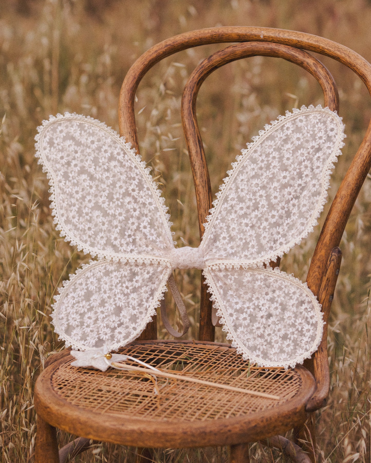 Wings || Daisy Embroidery