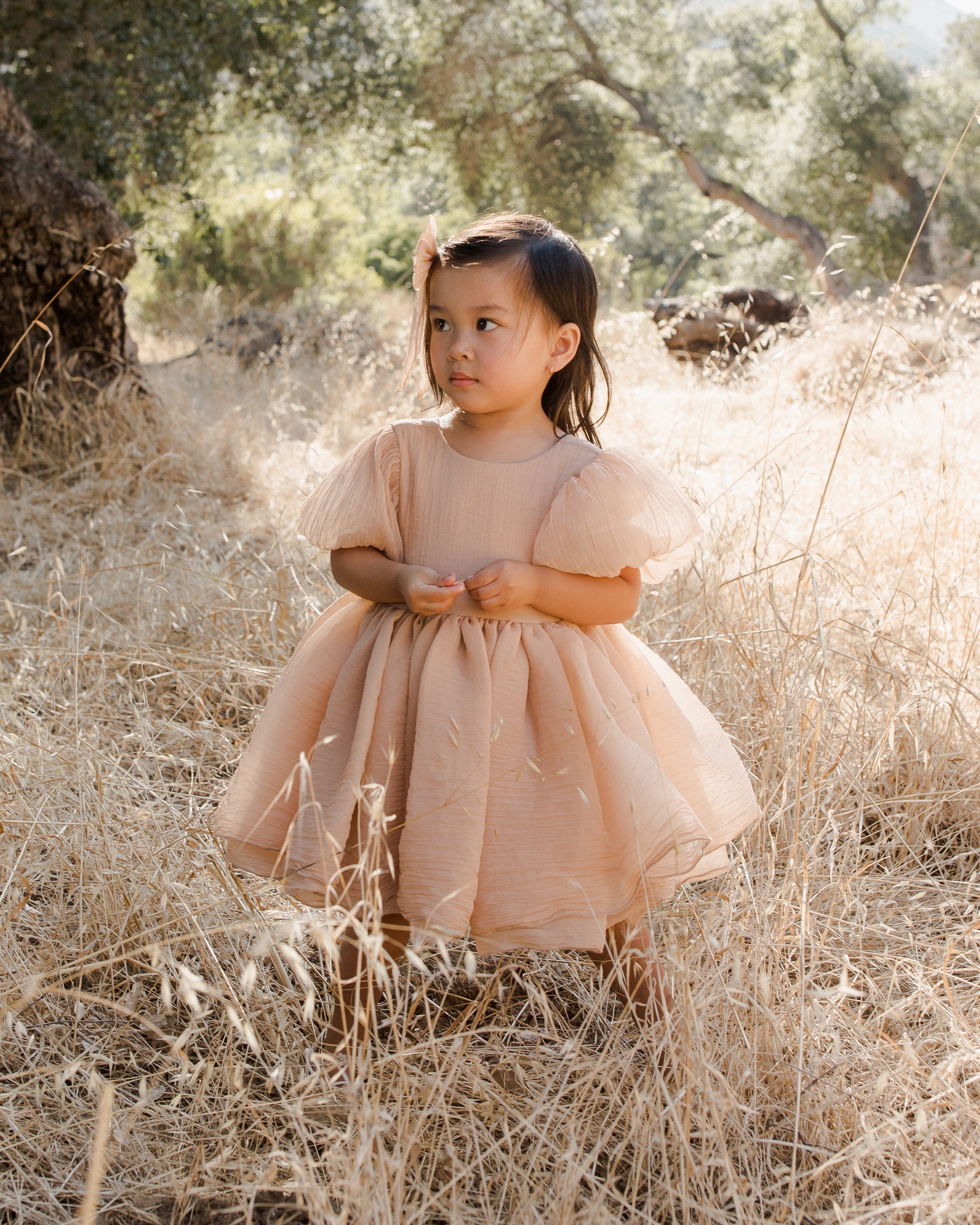 Sofia Dress || Blush – Noralee