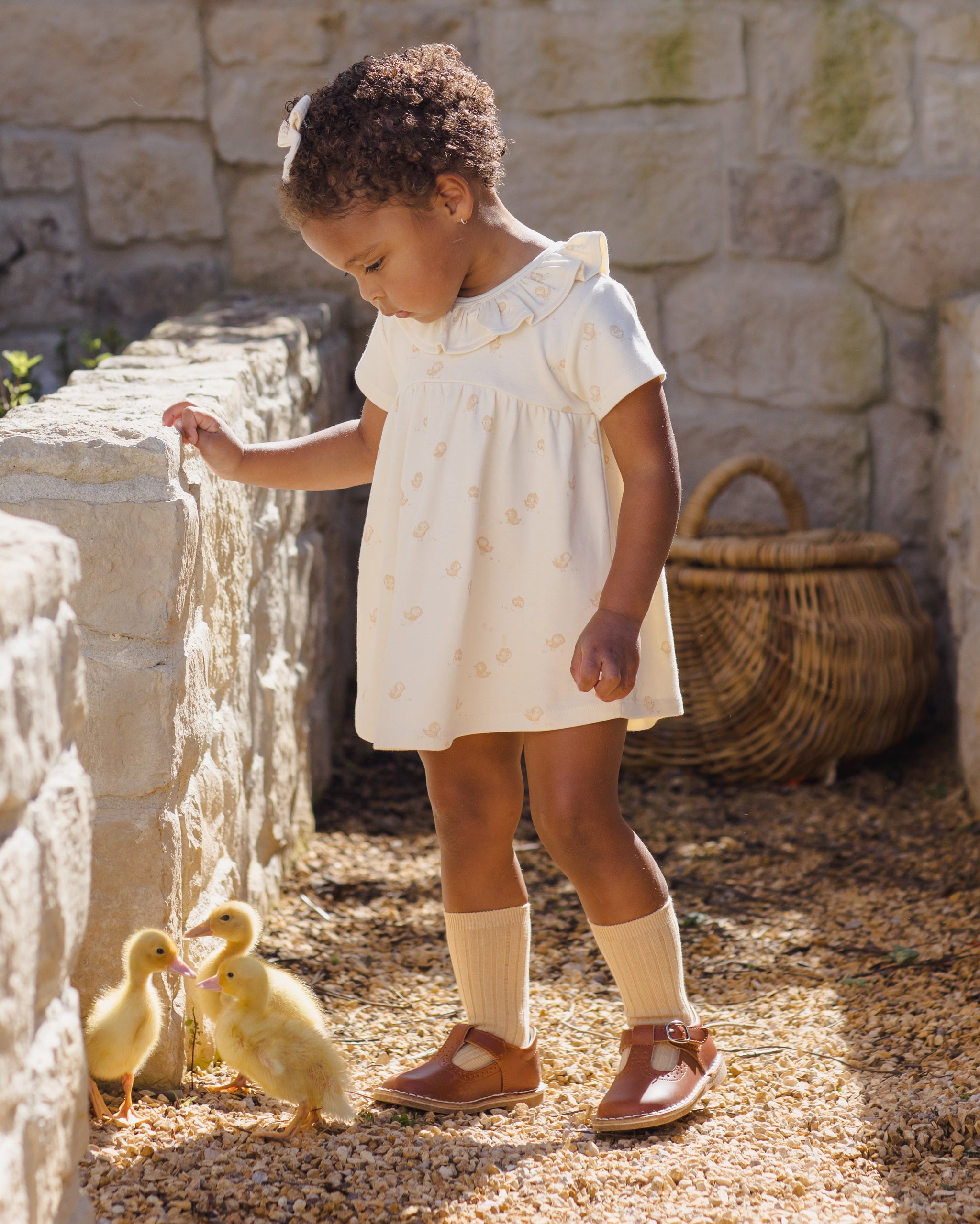 Ruffle Collar Jersey Dress Chicks - Rylee + Cru | Kids Clothes | Trendy Baby Clothes | Modern Infant Outfits |