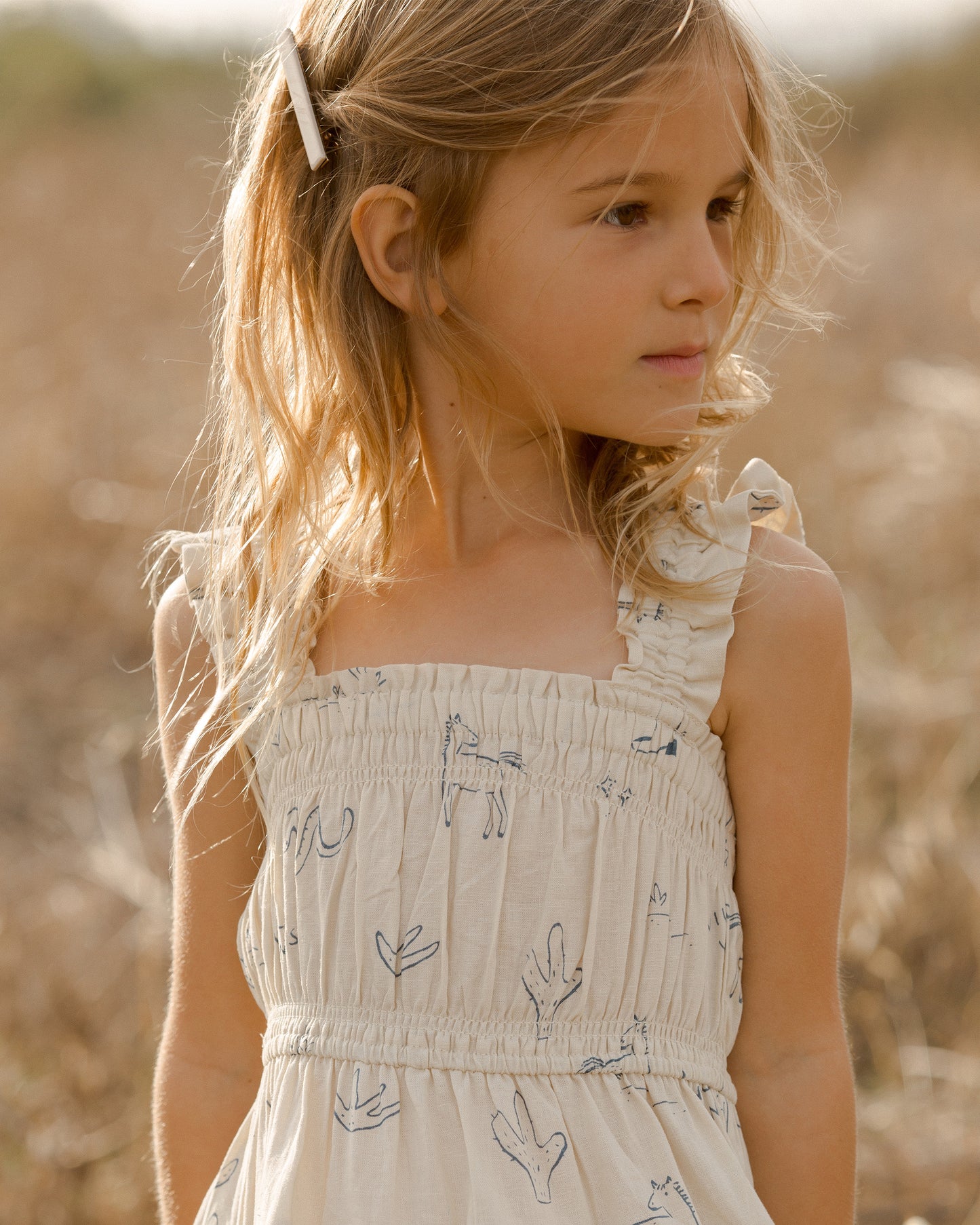 Josie Dress || Wild West