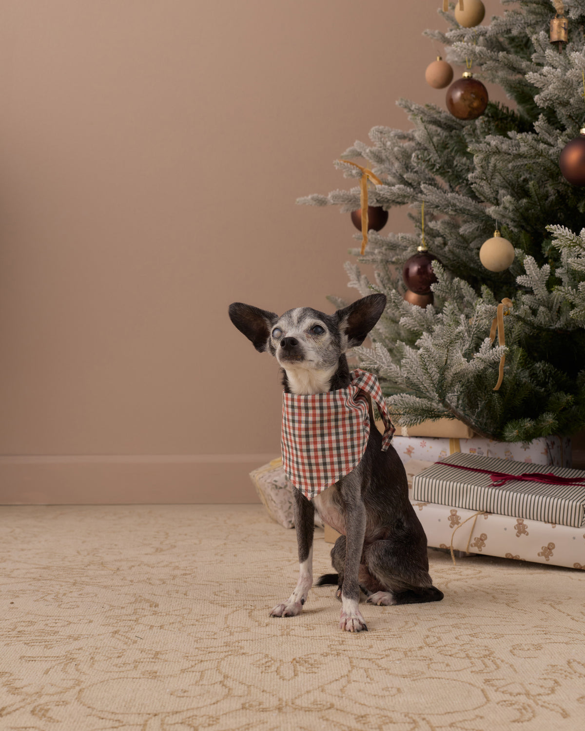 Dog Bandana Holiday Gingham - Rylee + Cru | Kids Clothes | Trendy Baby Clothes | Modern Infant Outfits |