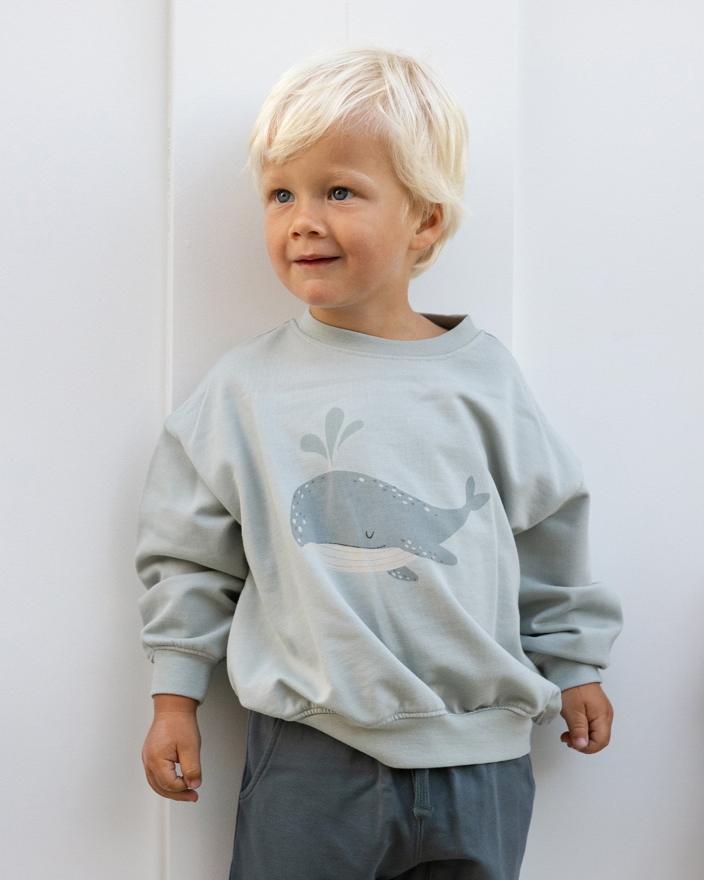 Sweatshirt || Whale - Rylee + Cru | Kids Clothes | Trendy Baby Clothes | Modern Infant Outfits |