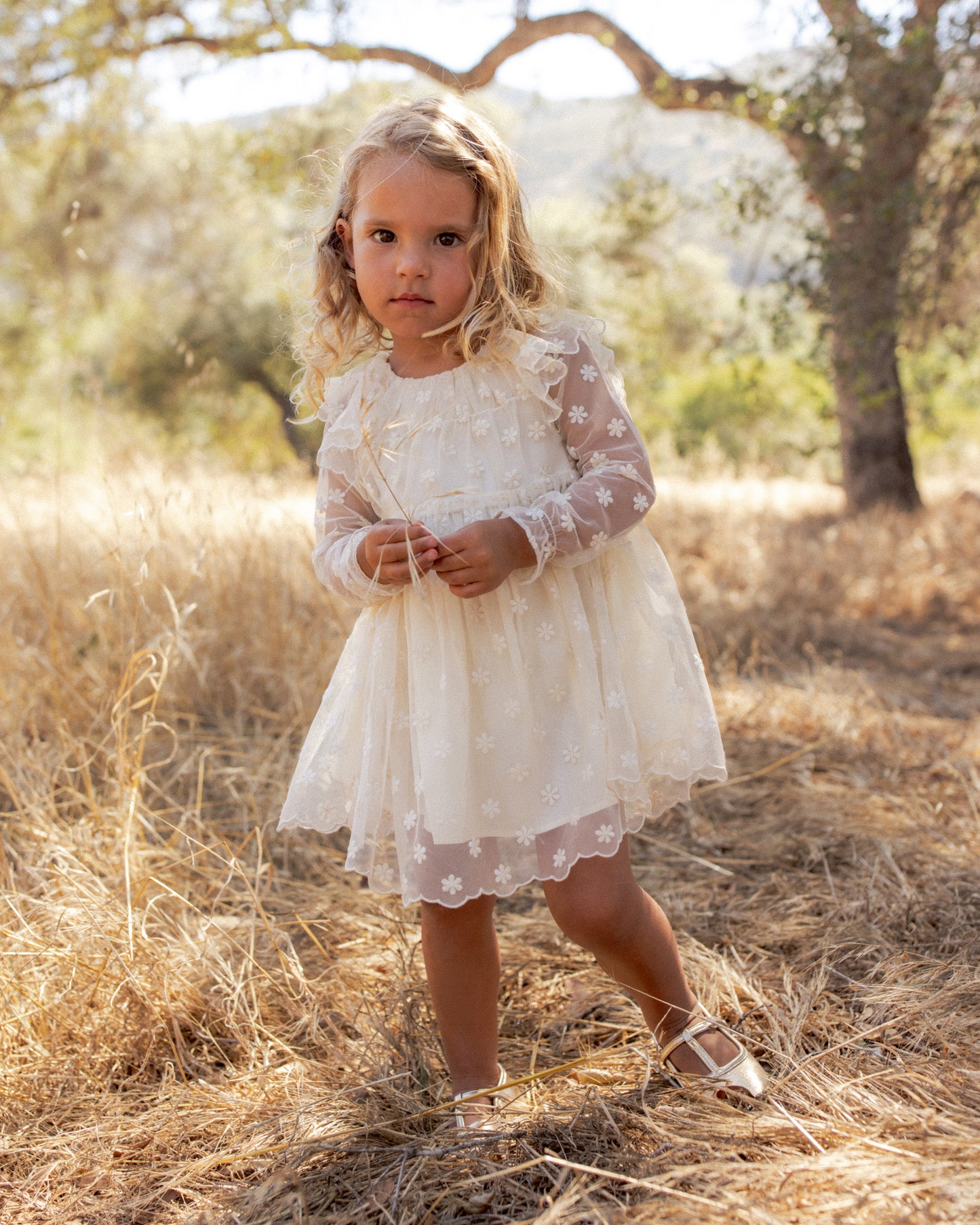 Everly Bow Embroidered Daisy - Rylee + Cru | Kids Clothes | Trendy Baby Clothes | Modern Infant Outfits |