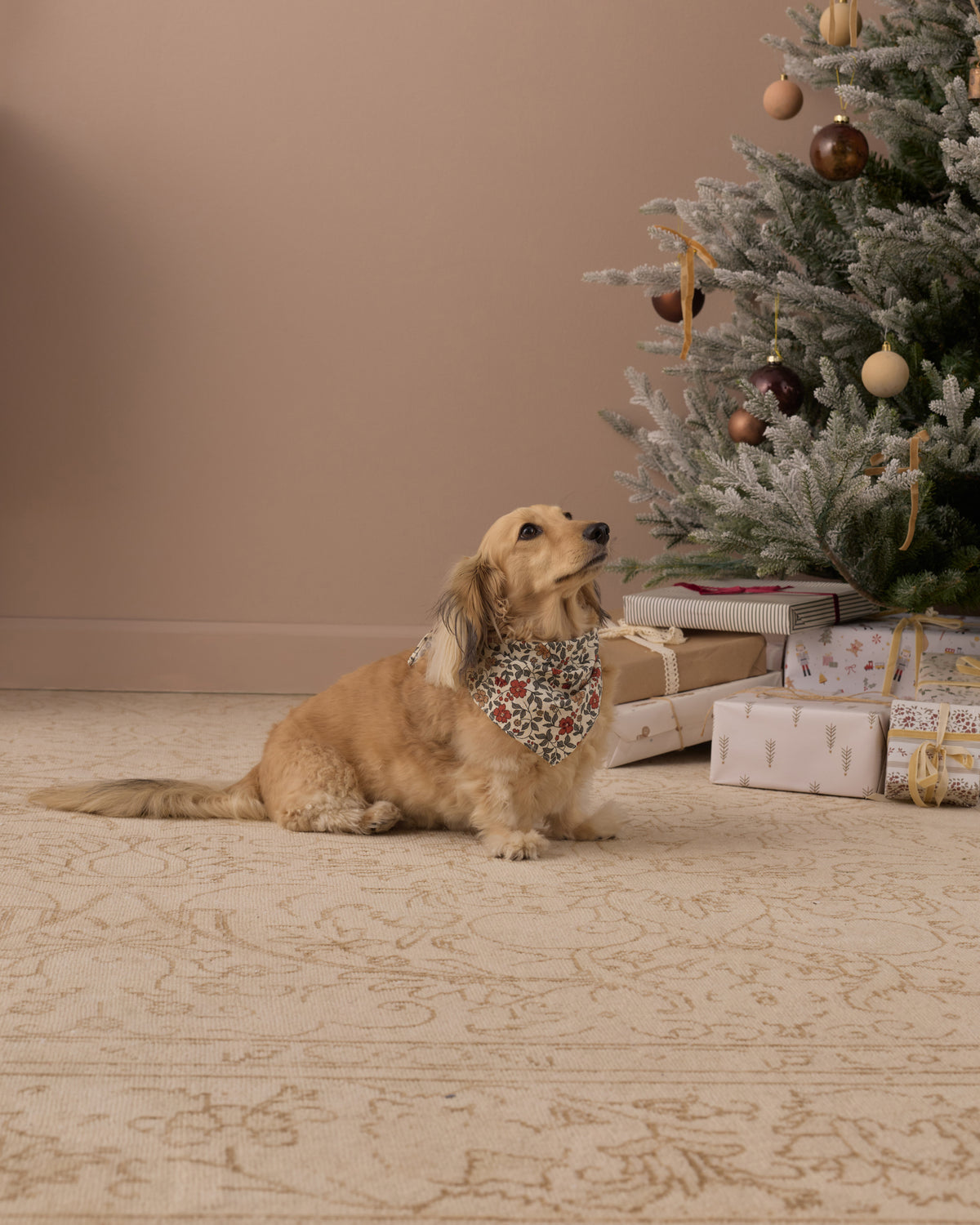 Dog Bandana Holiday Floral - Rylee + Cru | Kids Clothes | Trendy Baby Clothes | Modern Infant Outfits |