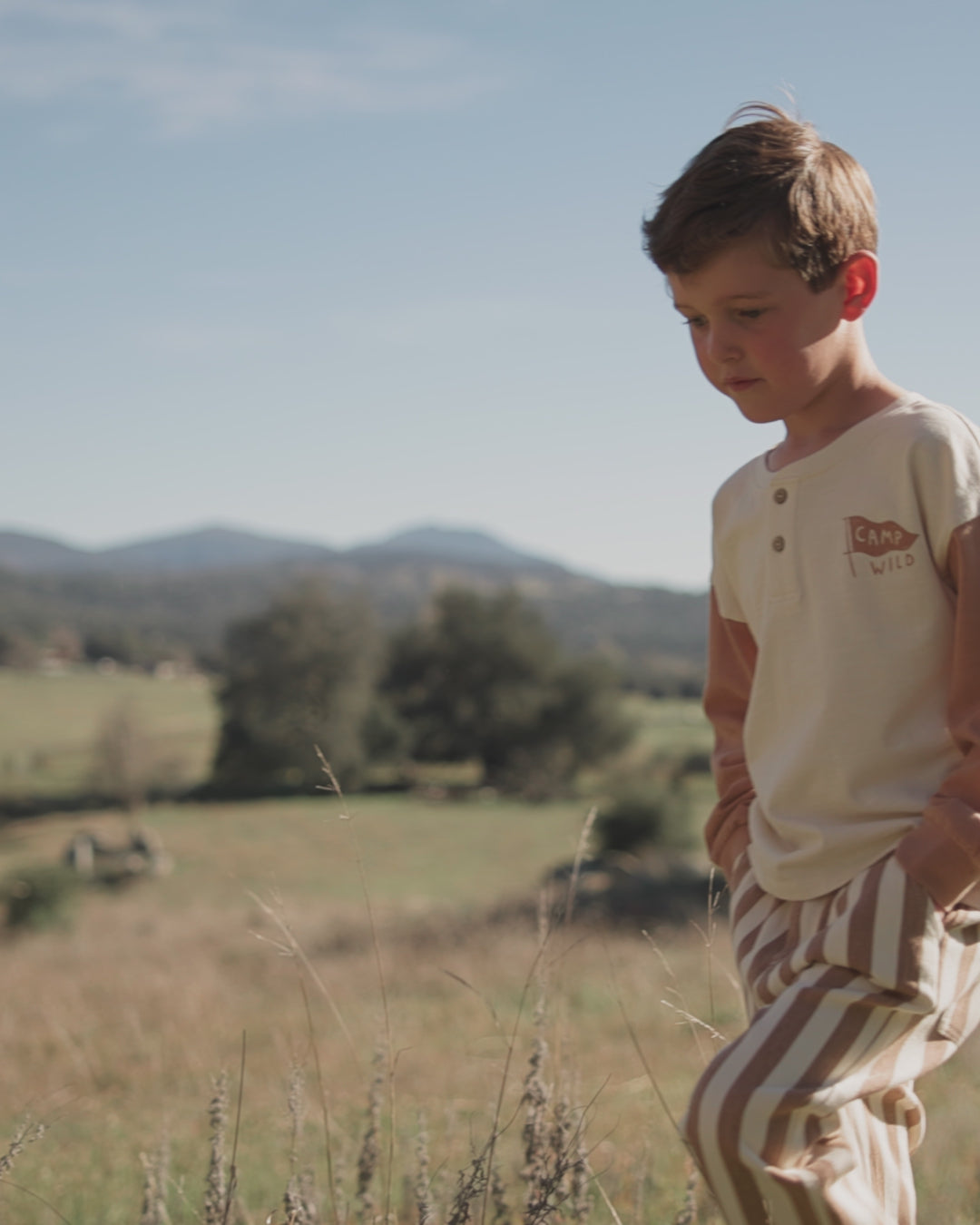 Baggy Pant Fawn Pinstripe