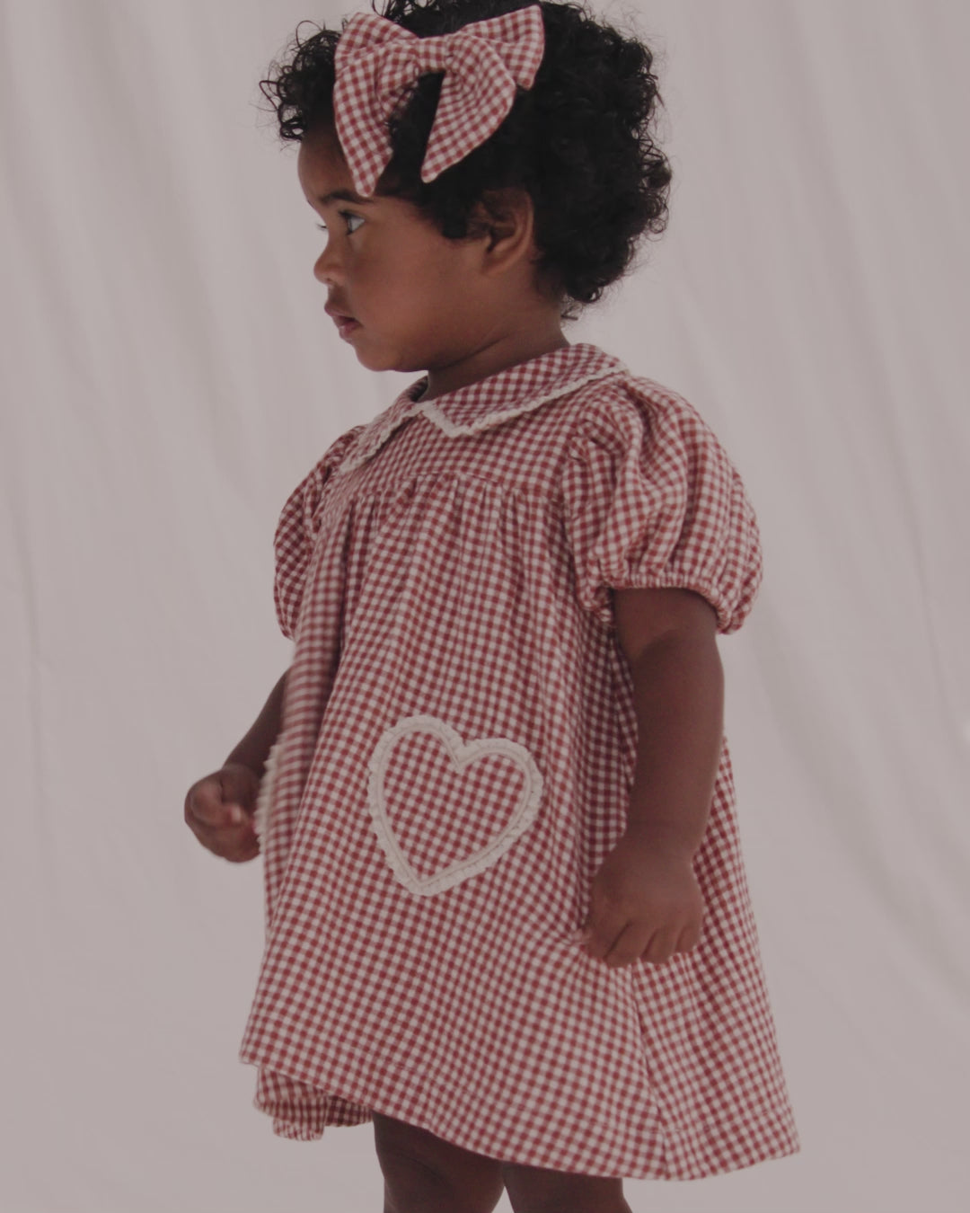 Coraline Dress Red Gingham