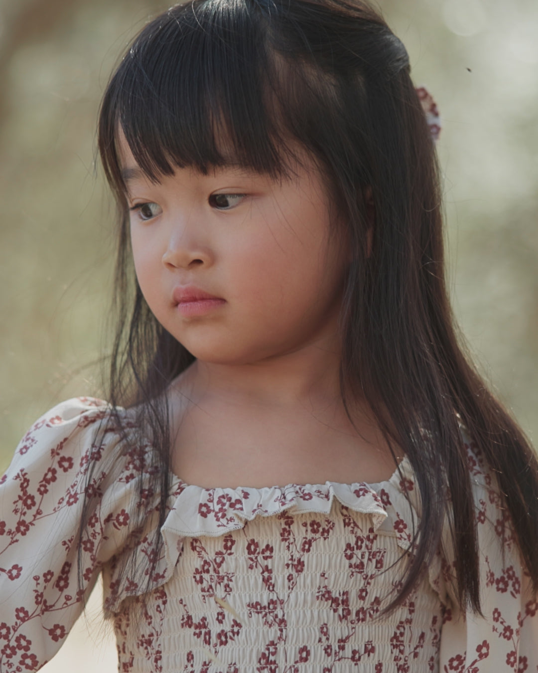Elodie Dress Floral Toile