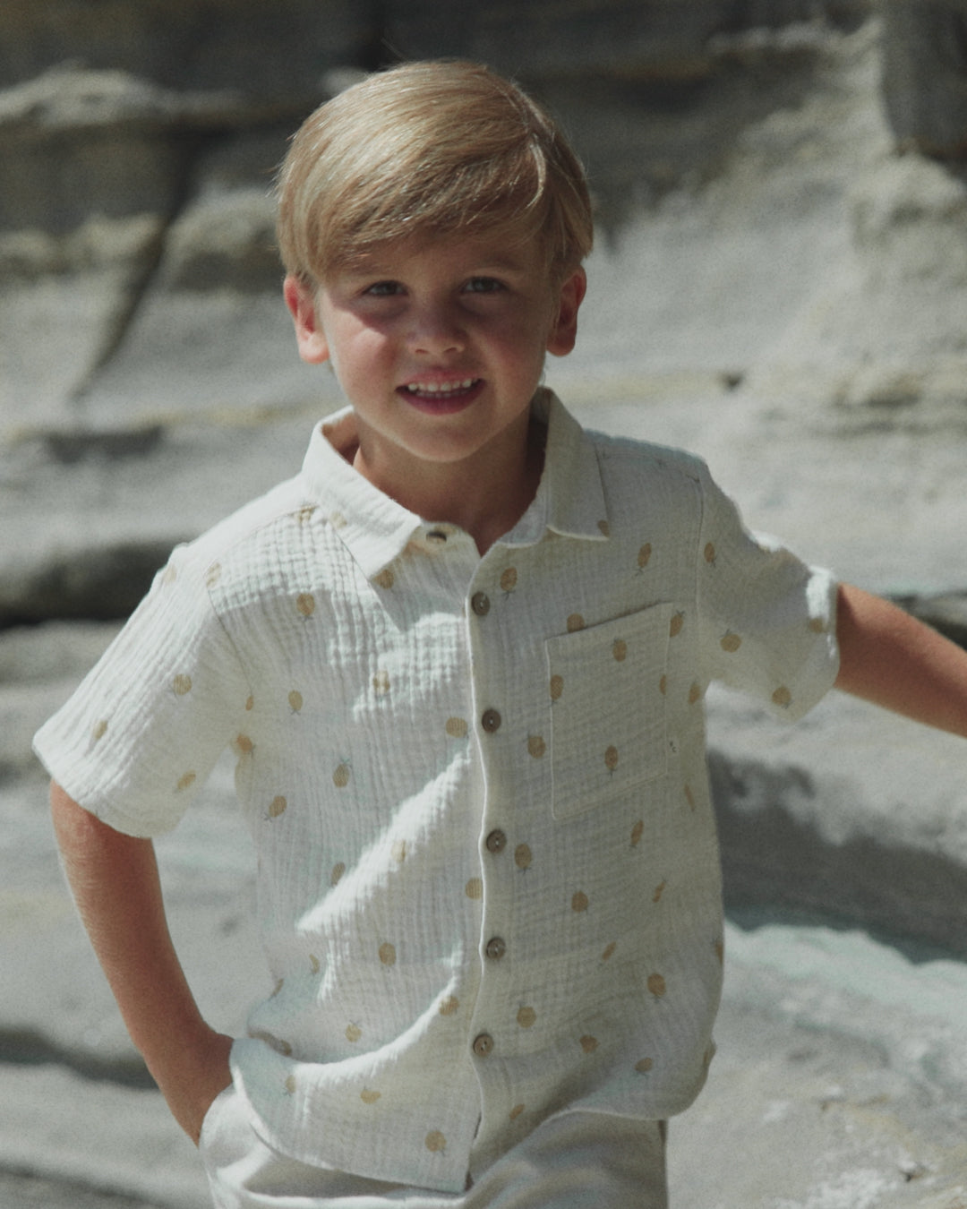 Collared Short Sleeve Shirt Pineapple